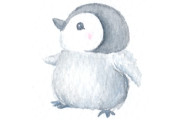 日本の「ペンギンの赤ちゃんと飼育員の攻防戦」が可愛くて笑ってしまう！【台湾人の反応】
