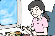 全日空（日本）とユナイテッド航空（アメリカ）のエコノミークラスの機内食の比較　【海外の反応】