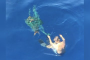 【海外】ゴミに見えたら、なんと中に誰かが閉じ込められてた！