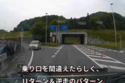 いるいる＆あるあるなドライブレコーダー映像まとめ