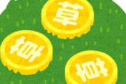 海外「お金持ちか！」日本好きルーマニア人が本気でハマった日本文化に海外が感動