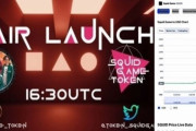 【悲報】韓国人「韓流イカゲームテーマの仮想通貨で詐欺！」開発者が現金化して逃走し「0ドル」に暴落　韓国の反応
