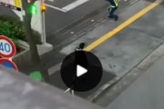 日本の警備員さんの面白過ぎる交通誘導が海外で話題になってる件