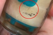 韓国人「韓国の水道水から虫事件が今だに原因不明‥」仁川の水道水の幼虫、浄水場西管路を経て家庭に流出か？　韓国の反応