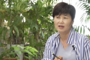 【韓国】慶北医大教授「日本の感染者数急減、K-防疫の致命的な誤りを見せた」韓国の反応・ダウム発狂