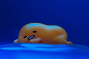 海外「これこそ今の世界に必要なものだよ！」サンリオ＋実写＋CGで送る日本の実写シリーズ『ぐでたま』に対する海外の反応