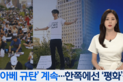 【韓国人の反応】反安倍集会の片隅で日本人が「平和のフリーハグ」