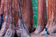 海外「日本とカリフォルニア、どっちに行くべき？」
