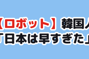 【衝撃】韓国人「これ、絶対に日本が独占すると思ってた」