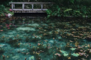 「日本のこの池は本気で絵だと思った」親日外国人が風景を愛でるスレ