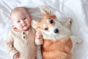 【海外】「犬が赤ちゃんの代わりになる？実際にはもっと深刻な真実がある」