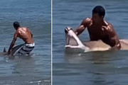 海水浴場にあらわれたサメを素手で捕まえる男性。その目的はサメと戦うのではなく…