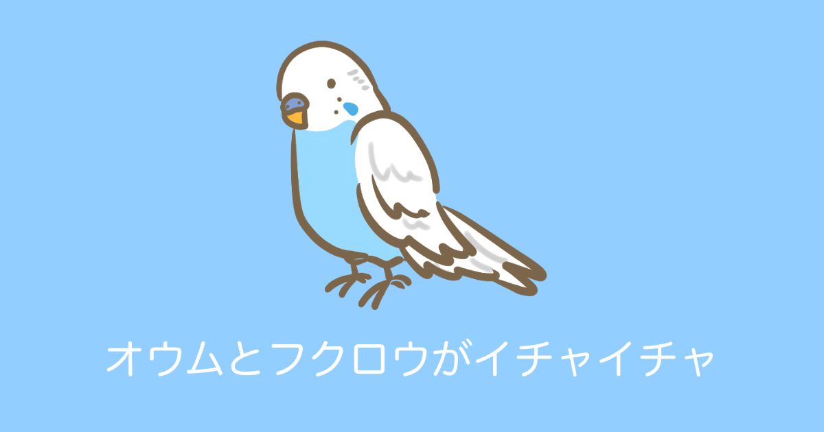 日本の「フクロウと仲良くしたいオウムの動画」が可愛すぎる！【台湾人の反応】 | 海外の反応アンテナ