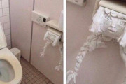 公衆のトイレで誰かが時間をかけて作ったトイレットペーパーアートが怖すぎる件ｗｗｗｗ化以外の反応