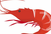 これが日本の3秒クッキングだ　“それ実際に試してみた人いるぞ”　【海外の反応】