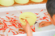 病気で泳げない可哀そうな金魚…その『金魚救い』に全世界で賞賛の嵐が！ 海外の反応