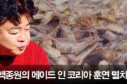 韓国人「脱日本！」韓国人が日本の鰹節に変わる「燻製カタクチイワシ」の開発に成功！今後うどんやそばの出汁に使われる可能性！　韓国の反応