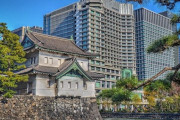 「アメリカ軍医の祖父が戦後に撮った皇居の写真を、73年後に僕が再現してみた…」ビフォー＆アフター写真
