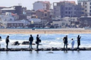 2万ウォン配っても済州島には行かない、韓国旅行客が先に求めたのは“ぼったくり対策”