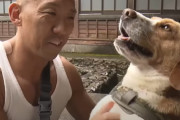 【海外】放置された犬が大変身！「うるさい」と言われた彼が僧侶をクマの襲撃から救った物語