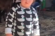 ニワトリが大好きな女の子さん、大好き過ぎてこんなところに乗せてしまう…　海外の反応