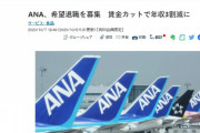 【韓国の反応】日本最大の航空グループ、人員3,500人削減 & 航空機30機売却…韓国人「日本破綻の序幕か？www」
