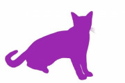 「小さな猫とライオンや虎は『伸び』をしたときに違いはあるの？」→写真を並べてみた