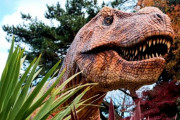 韓国人「現在、地球上で最も恐竜に近い生物がこちら」