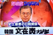 韓国人「日本人はどうして韓国に執着するの？」日本の番組が「日本人が選んだ非好感1位」の韓国人を発表！　韓国の反応