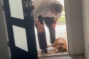 【海外】「夫が拾った迷い犬、優しく初めての一歩を支える！」