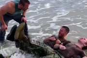 ダメ夫を軍隊式トレーニングで更生する「鬼のビーチブートキャンプ」が恐ろしすぎるｗｗｗｗｗ