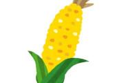「今日、トウモロコシでナイフを切れることを知った…」信じられない光景
