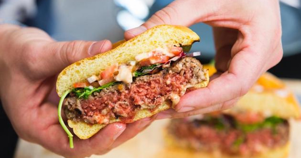 完全菜食主義者がバーガーキングを集団訴訟、バーガーに肉の油がついてると激怒ｗｗｗｗ | 海外の反応アンテナ