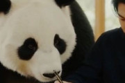 中国人「漢字を使う日本語はやっぱり楽しい」　中国人「まさかの電車マニア」「溢れる首都感」