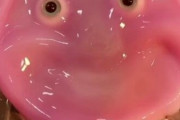 海外「ホラー映画の予告かと思った」日本の科学者たちが「生きた皮膚」を持つ笑顔のロボットを製作