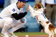 大谷翔平がデコイが開幕戦を救うという絵本を書いたぞ！　【海外の反応】