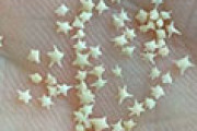 海外「日本は可愛いを極めすぎ！」 沖縄の「星砂の浜」でとれる星型の砂が可愛いと話題