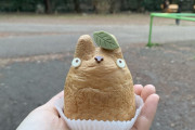 アメリカ人「日本旅行したので美味しかった食べ物を紹介していくぜ！」