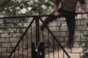 【壁蹴り】パルクールを駆使する昔のジャッキー・チェンの映像が凄すぎる！←やっぱり期限ってジャッキーなのかな？　海外の反応