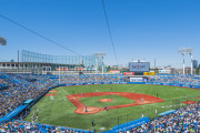 【海外の反応】ヤクルトファンの村上春樹が神宮外苑再開発に反対【NPB】