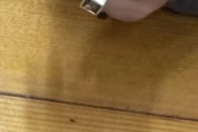 東京で食べたトロを見てくれ←「めっちゃ美味しそう！」（海外の反応）