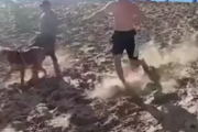 砂浜を丘の上から物凄い勢いで回転しながら降りる男性が海外で話題に
