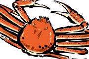 日本で売られてる蟹が生きてる！　“なんでそんなもの食べるの？巨大な蜘蛛じゃん”　【海外の反応】