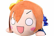 日本のラブライバーの酷いマナー違反（海外の反応）