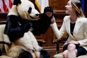 中国人「日本のこの政治家、見た目がすごすぎる」　中国人「鮮度を保ってる」「中国だったらもっとすごくなる」