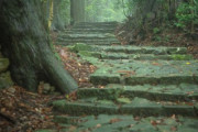 日本で最も勢いのある神社～那智大社を探る～「日本の自動販売機にはゴキブリがいる」「信じられないほど美しい」海外の反応