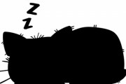 「子猫が見当たらないと思ったら…予想外のところで眠っていた」