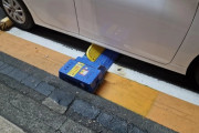 外国人「日本の駐車場にはこんな装置が付いてるらしいぞ！」