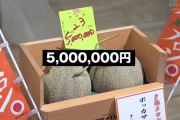 海外「日本人の生活って質が高い」　日本の美味さにこだわって作られた高価なメロン　海外の目にはどう映るのか？