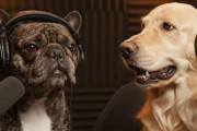 【海外】インターネットで人気急上昇中のポッドキャスターは犬！？その理由とは？